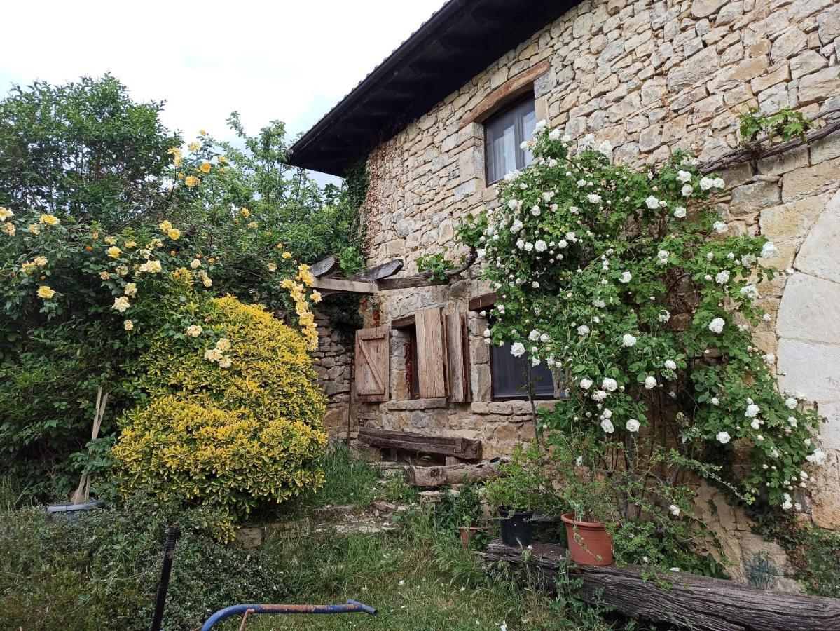 Casa Rural Ttipiaenea Landetxea Ariz  Экстерьер фото