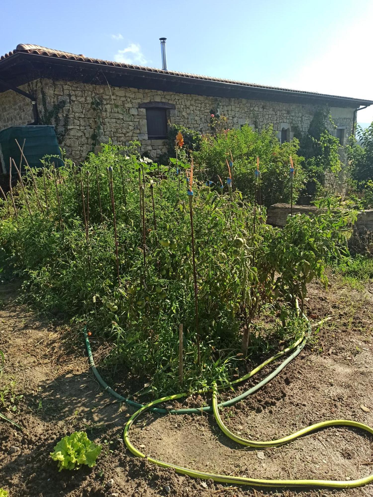 Casa Rural Ttipiaenea Landetxea Ariz  Экстерьер фото